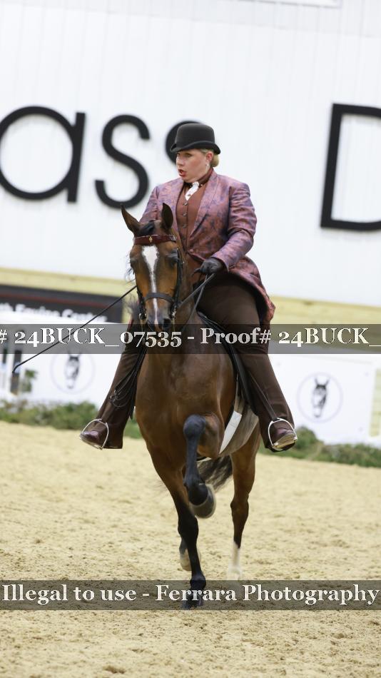 Proof 24BUCK_07535