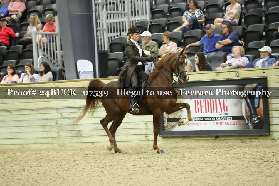 Proof 24BUCK_07539