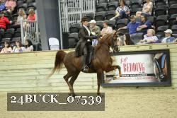24BUCK_07539 proof