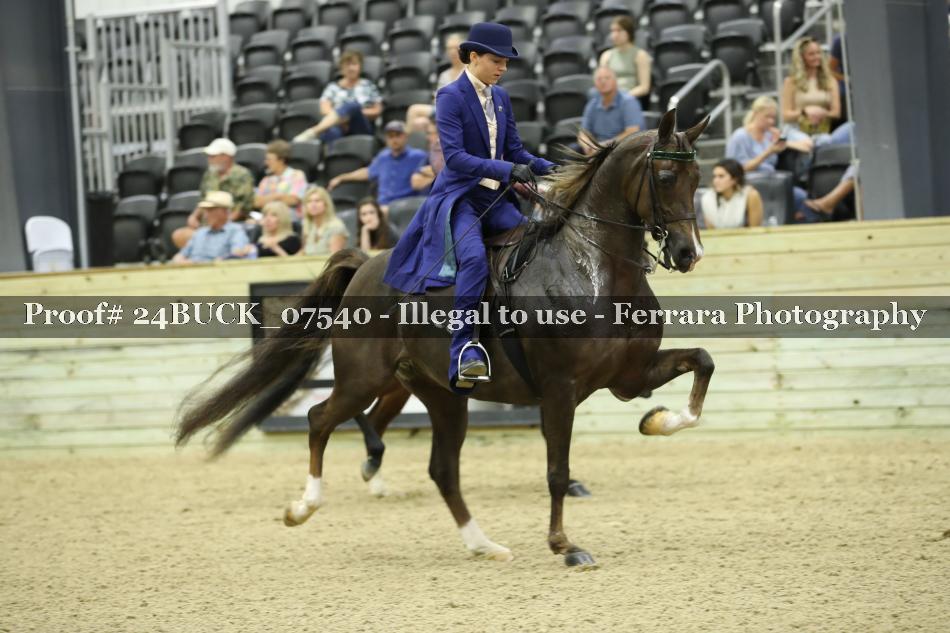 Proof 24BUCK_07540