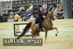 24BUCK_07541 proof