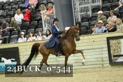 24BUCK_07544 proof