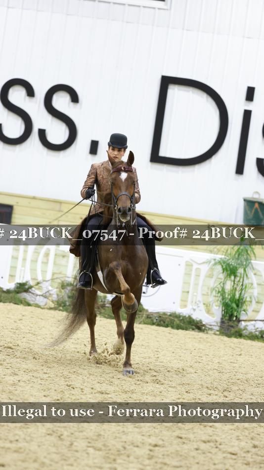 Proof 24BUCK_07547