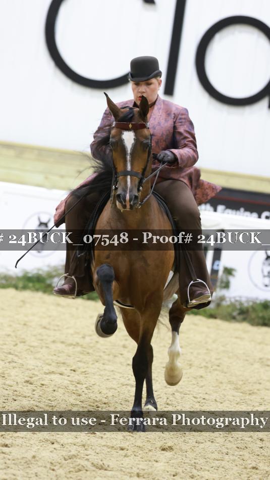 Proof 24BUCK_07548