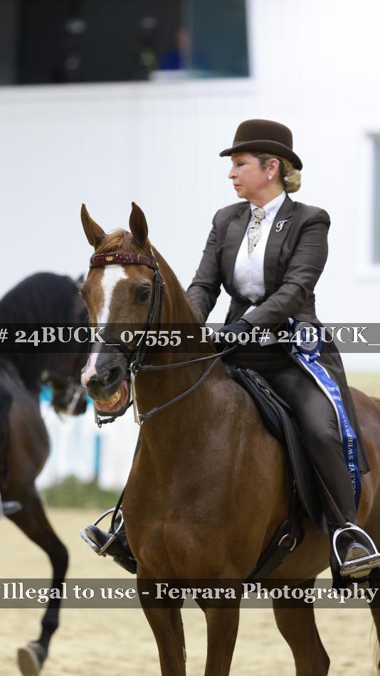Proof 24BUCK_07555