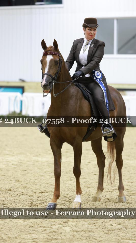 Proof 24BUCK_07558