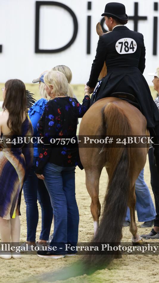 Proof 24BUCK_07576