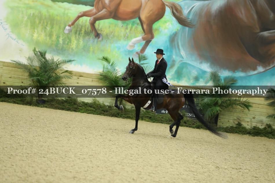 Proof 24BUCK_07578