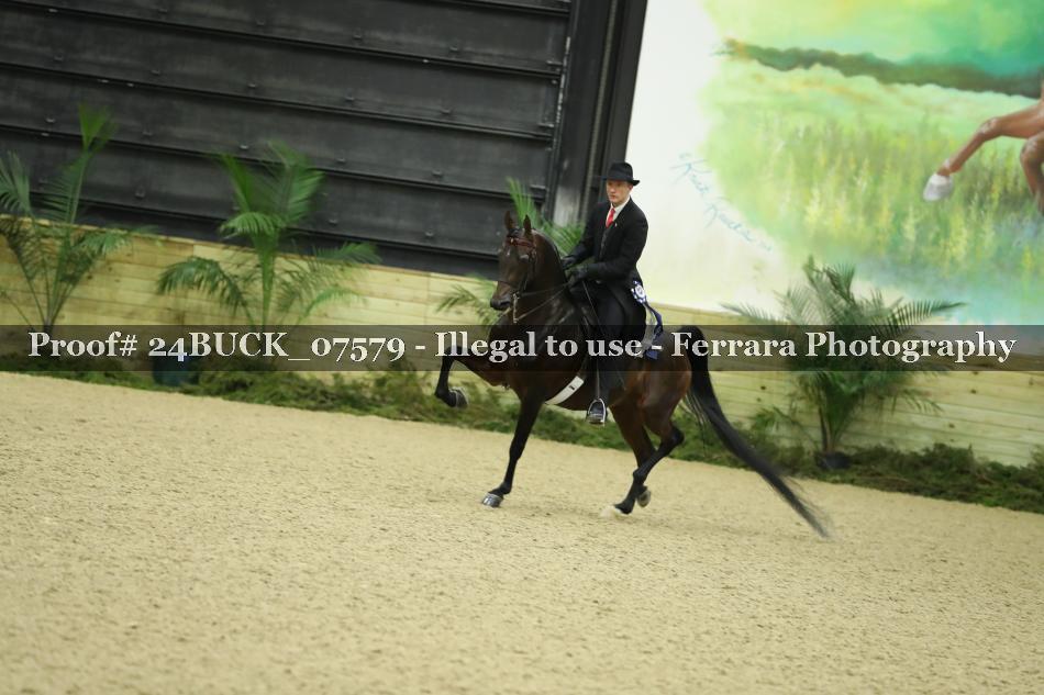 Proof 24BUCK_07579