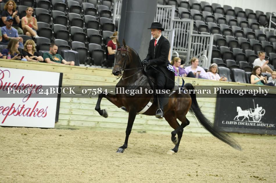 Proof 24BUCK_07584