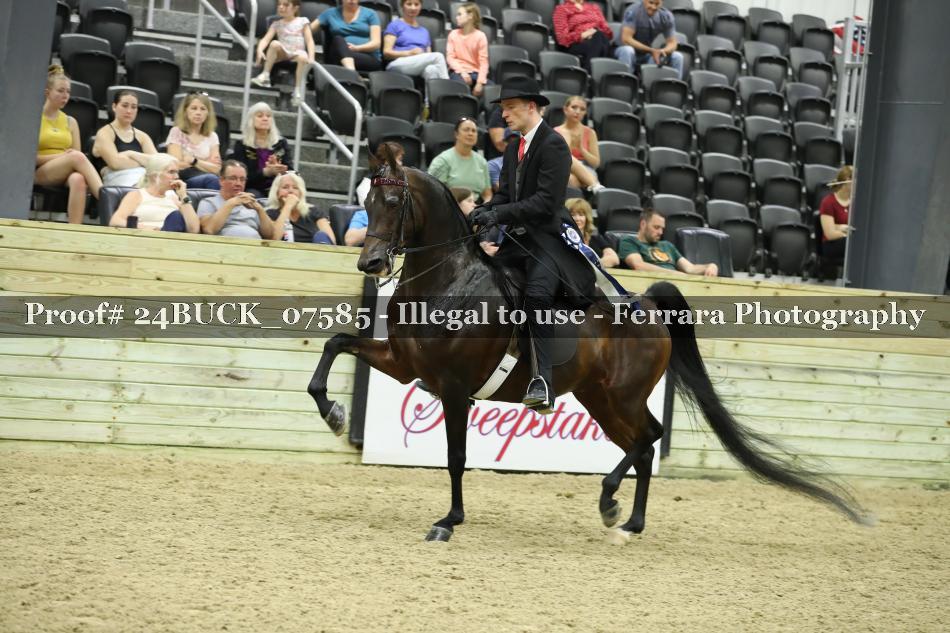 Proof 24BUCK_07585