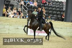 24BUCK_07585 proof