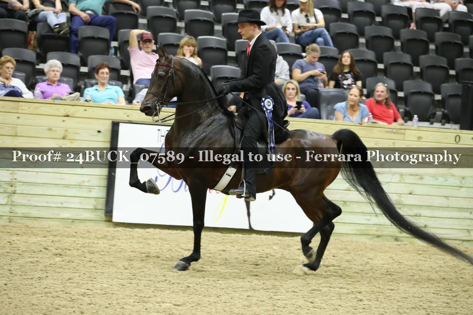 Proof 24BUCK_07589