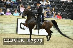 24BUCK_07589 proof