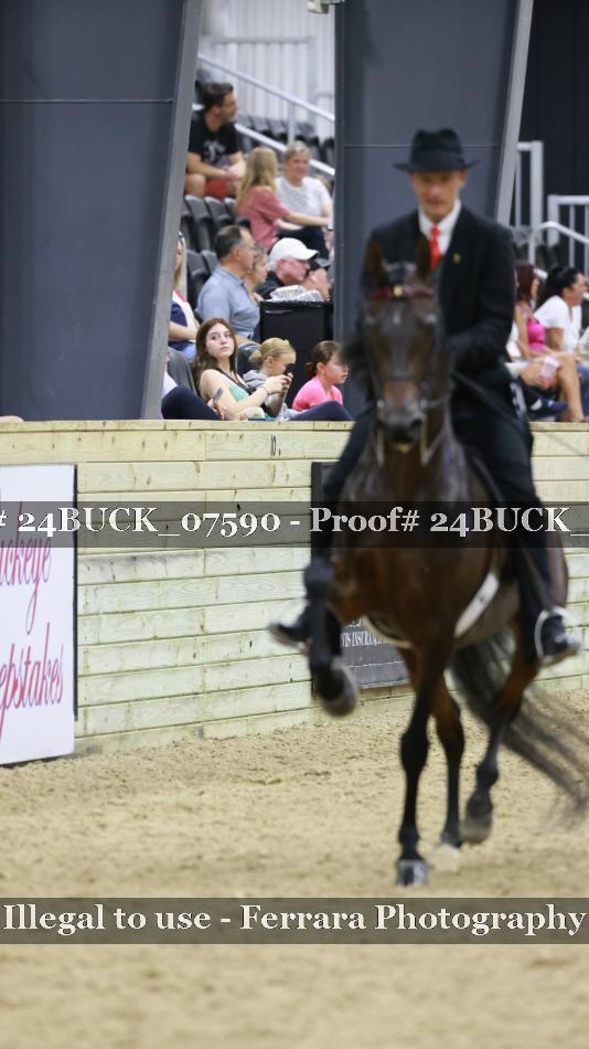 Proof 24BUCK_07590