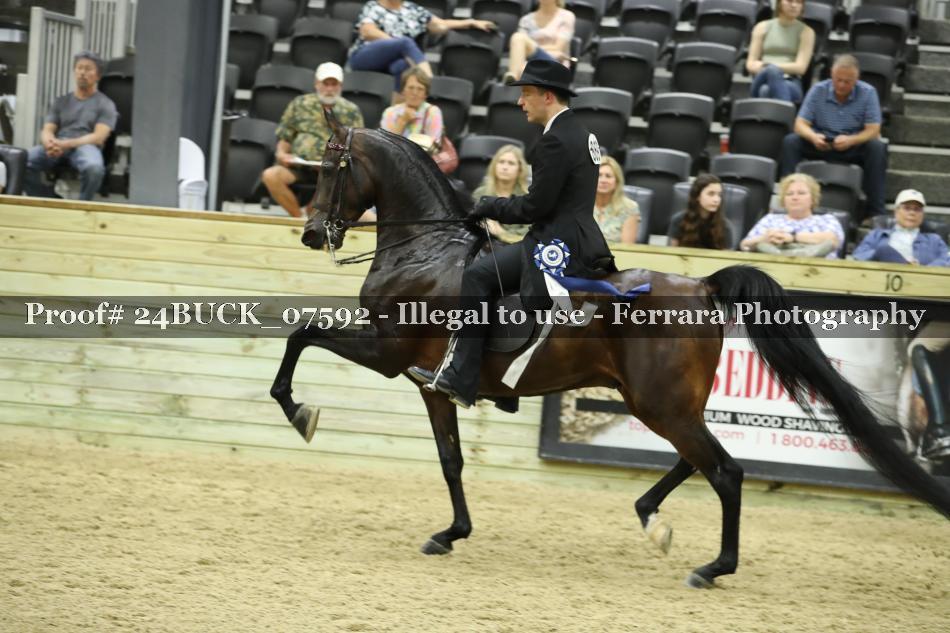 Proof 24BUCK_07592