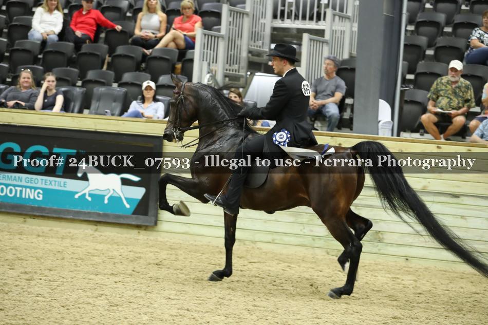 Proof 24BUCK_07593