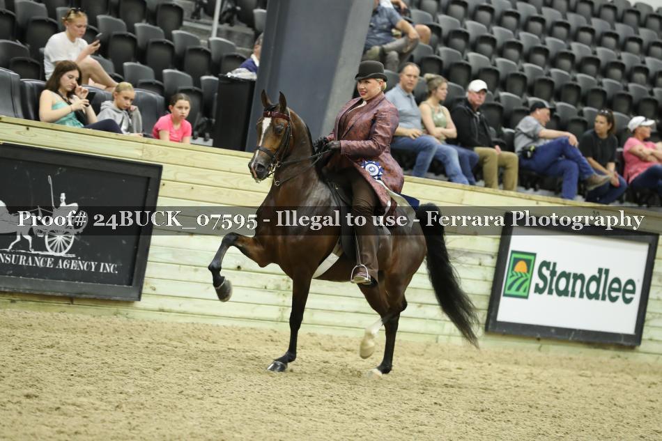 Proof 24BUCK_07595