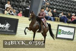 24BUCK_07595 proof