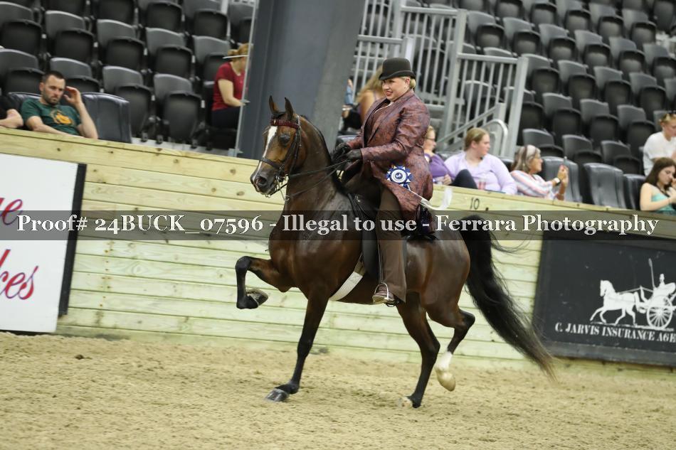Proof 24BUCK_07596