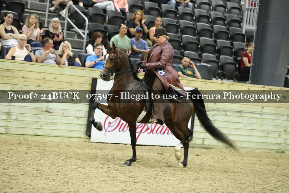 Proof 24BUCK_07597