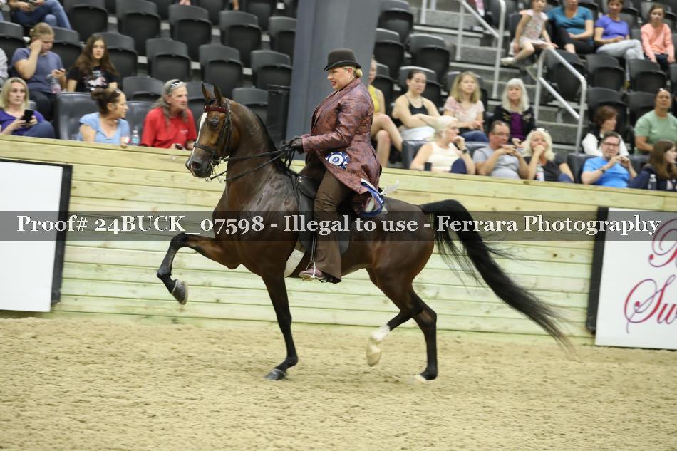 Proof 24BUCK_07598