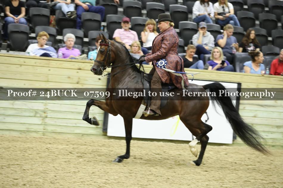 Proof 24BUCK_07599