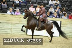24BUCK_07599 proof