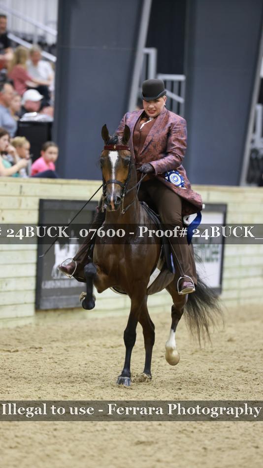 Proof 24BUCK_07600