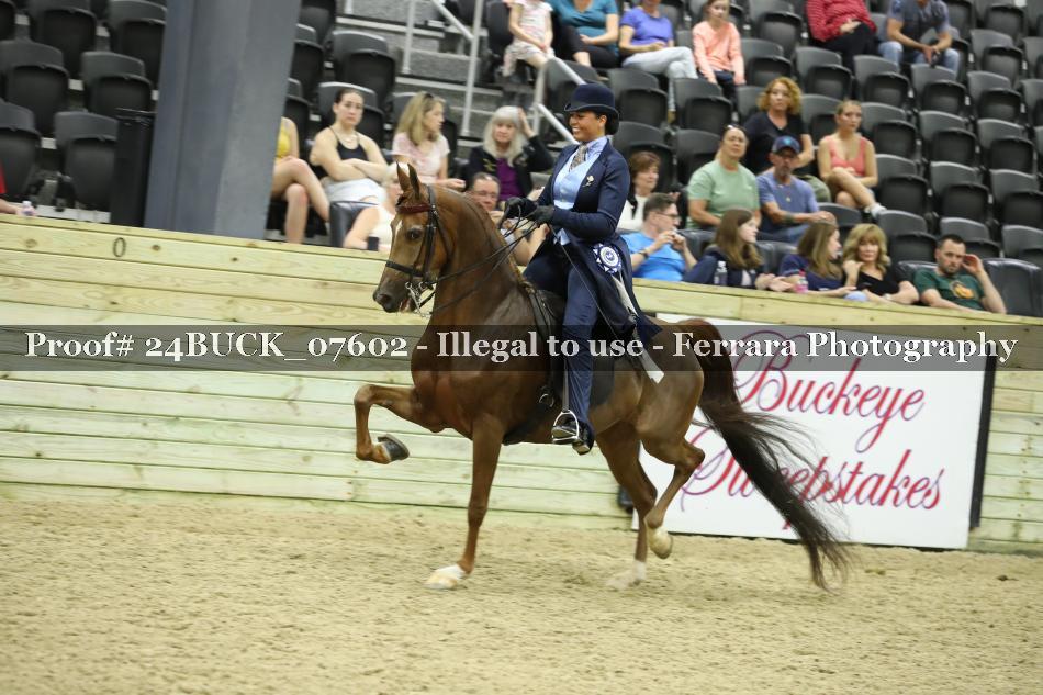 Proof 24BUCK_07602