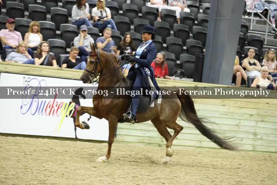 Proof 24BUCK_07603