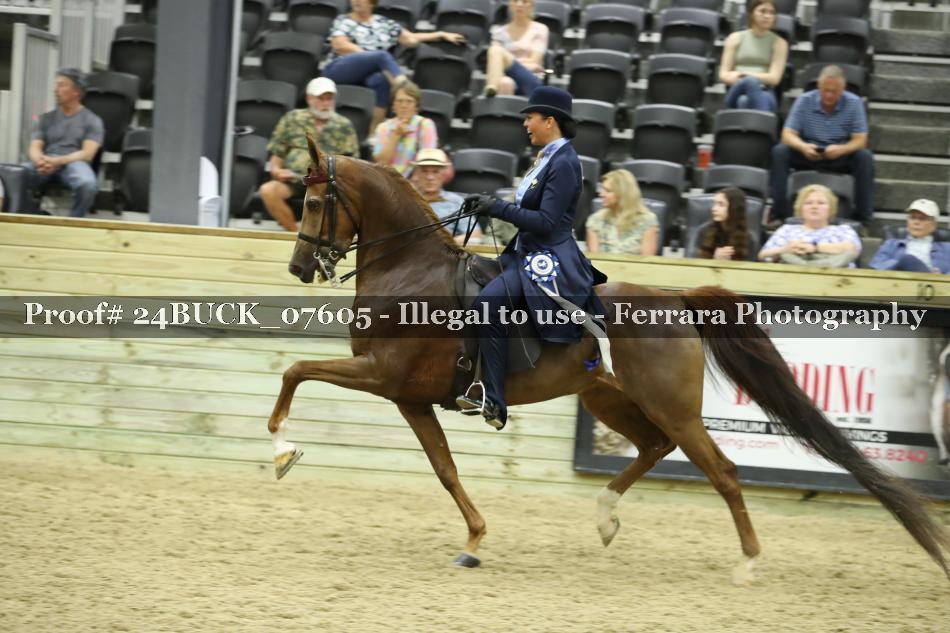 Proof 24BUCK_07605