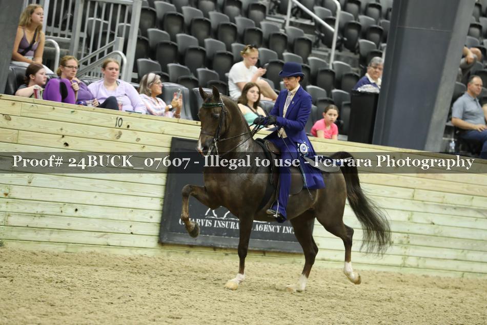 Proof 24BUCK_07607