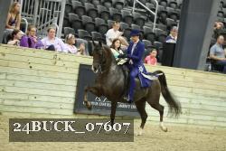 24BUCK_07607 proof