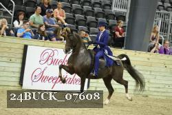 24BUCK_07608 proof