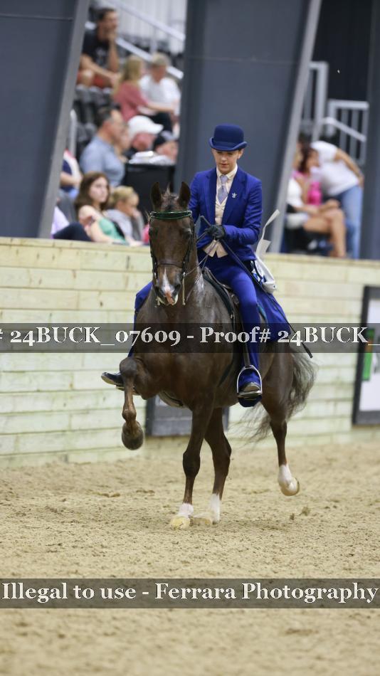 Proof 24BUCK_07609