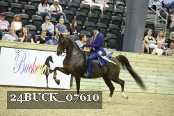 24BUCK_07610 proof