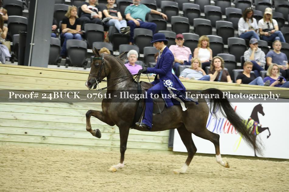Proof 24BUCK_07611