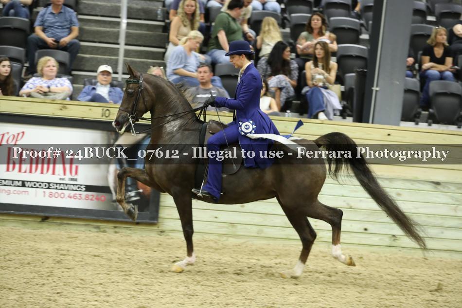 Proof 24BUCK_07612