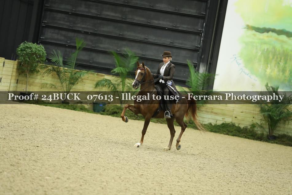 Proof 24BUCK_07613