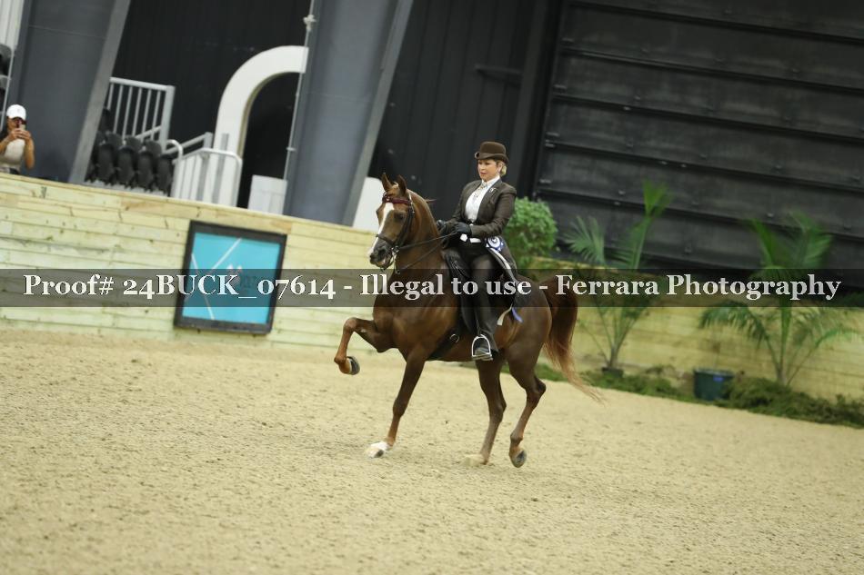 Proof 24BUCK_07614