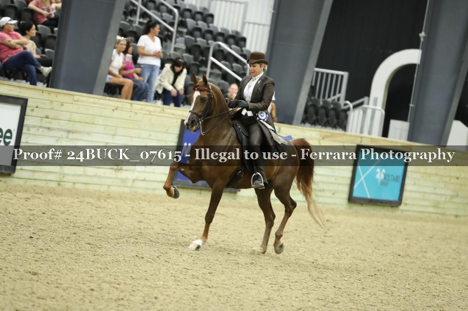 Proof 24BUCK_07615