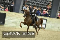 24BUCK_07616 proof