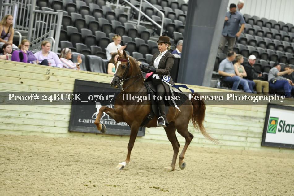 Proof 24BUCK_07617