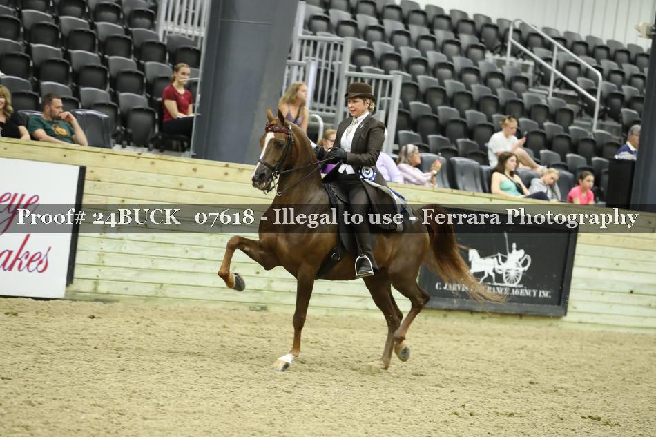 Proof 24BUCK_07618