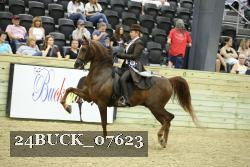 24BUCK_07623 proof