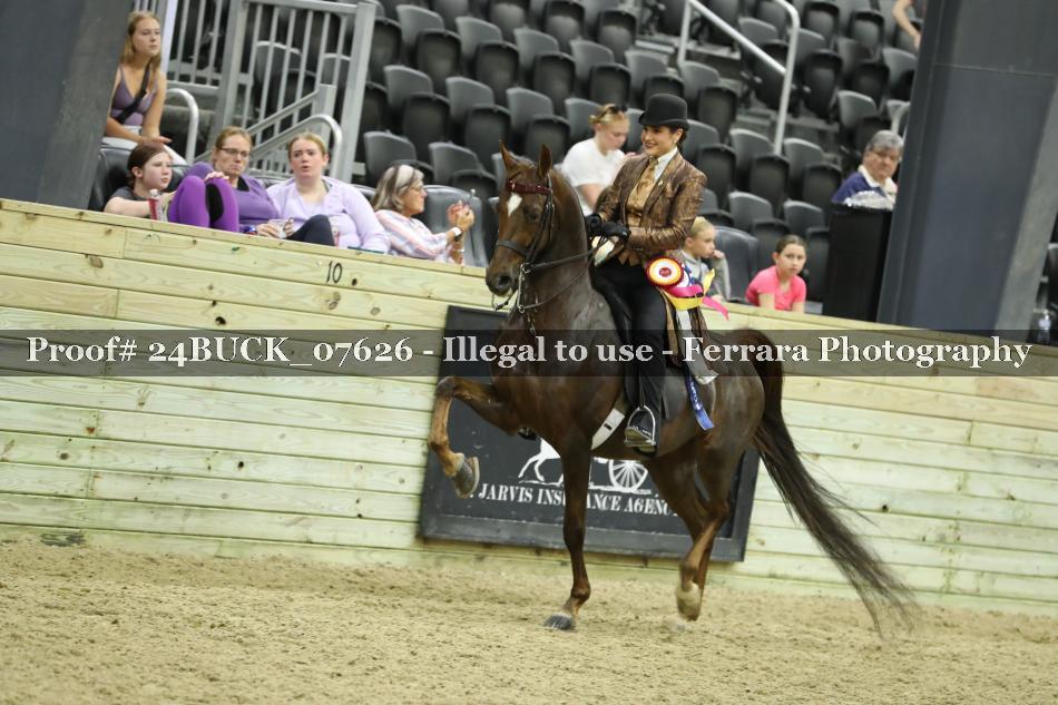 Proof 24BUCK_07626