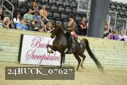 24BUCK_07627 proof