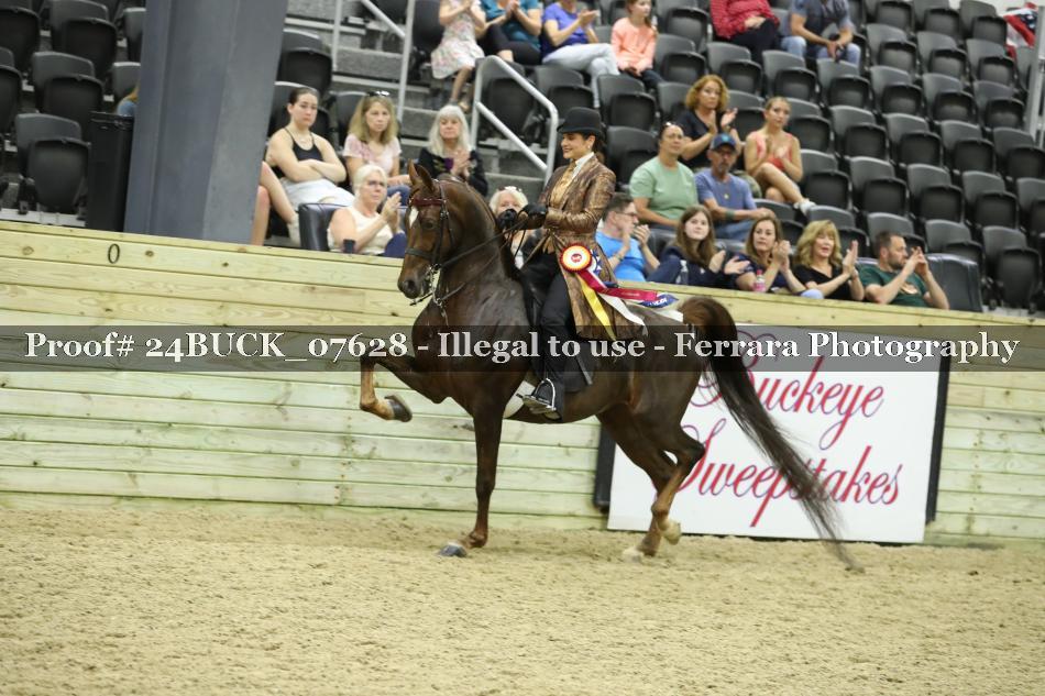 Proof 24BUCK_07628