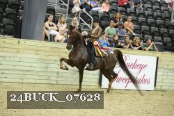 24BUCK_07628 proof